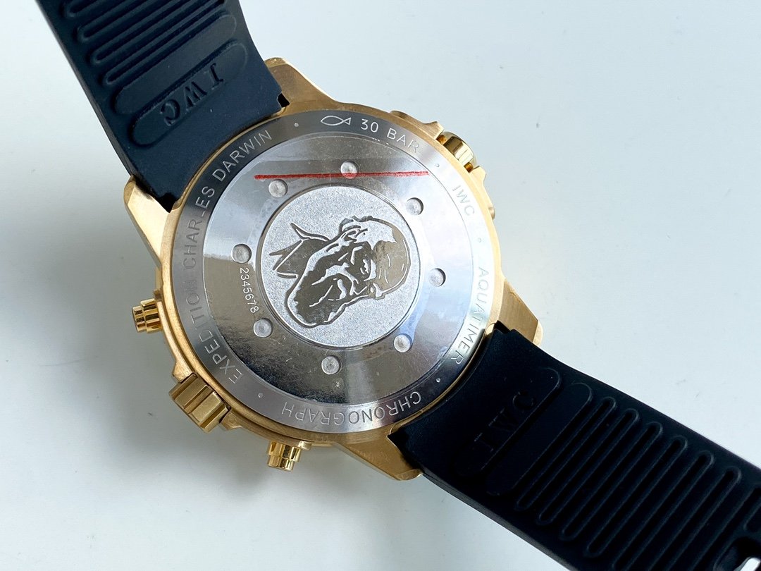 AQUATIMER EXPEDITION JAQUES YVES GOLD CASE