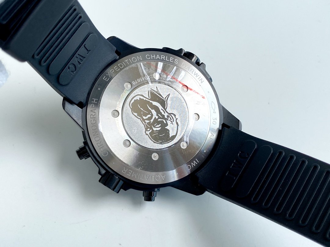 AQUATIMER EXPEDITION JAQUES YVES STEEL BLACK CASE