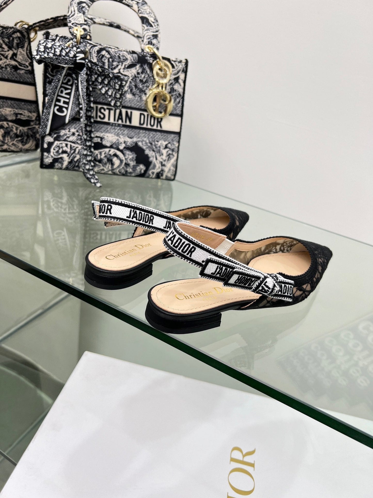 CD 25 Slingback Pump Black Transparent Mesh