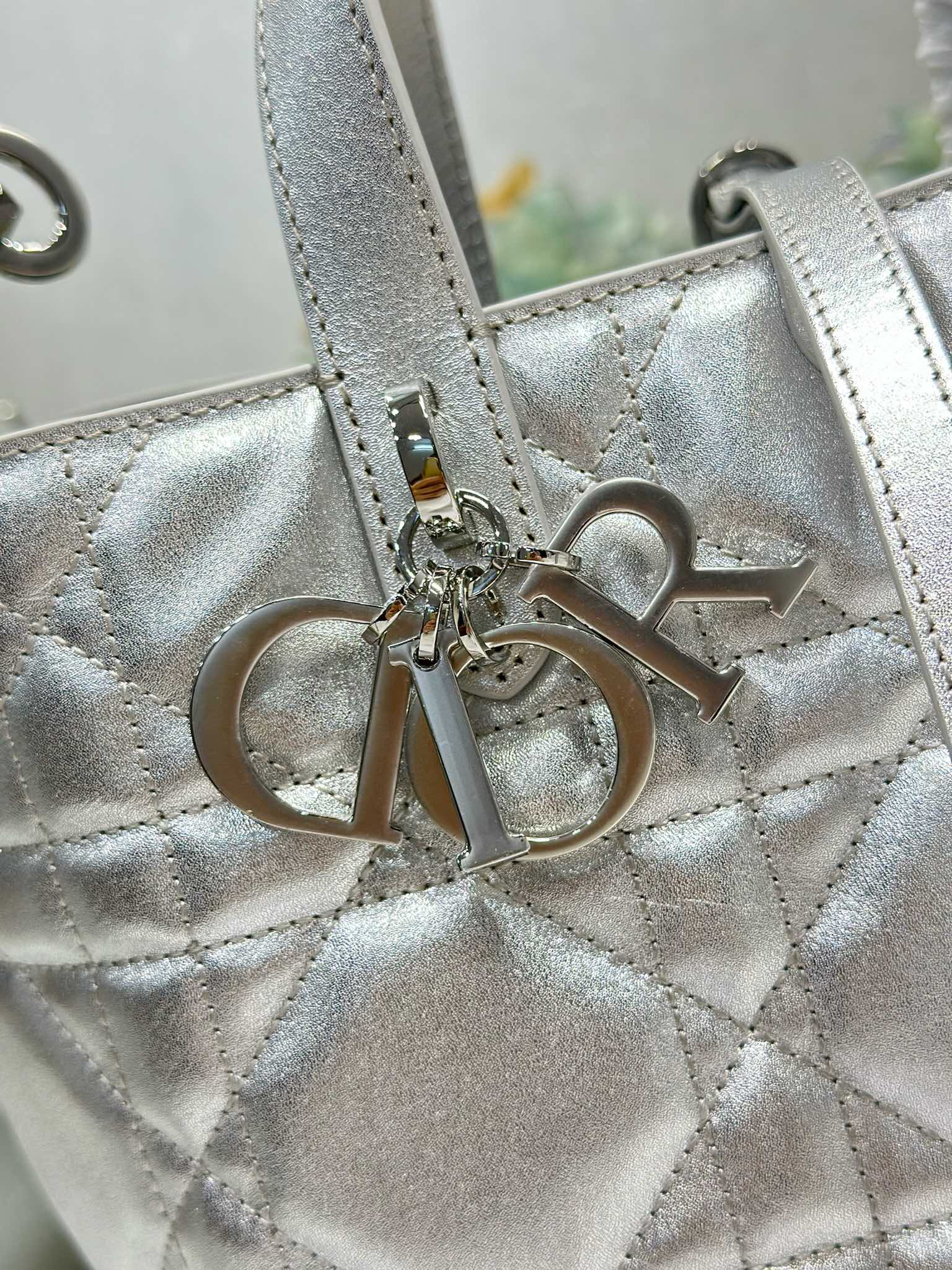 Dior 2026 Toujours Bag Calfskin 288531