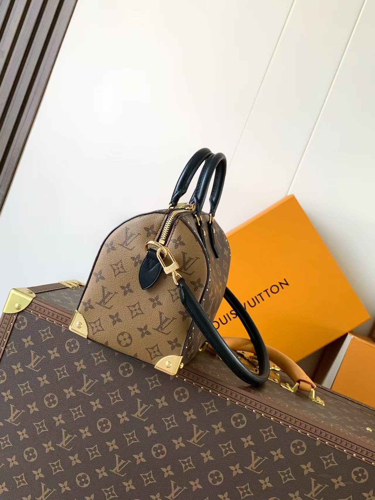 LV Speedy Trunk Bag Black Brown Cowhide Canvas