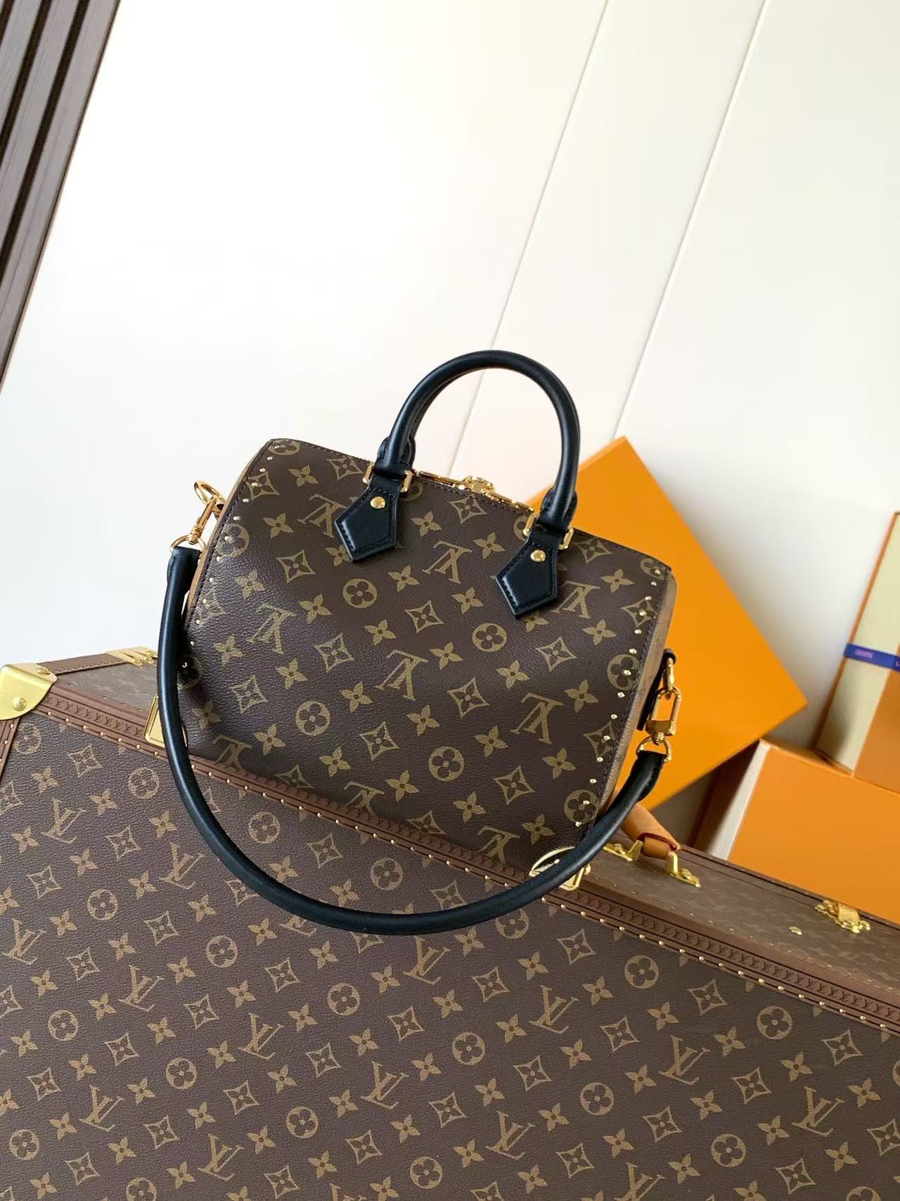 LV Speedy Trunk Bag Black Brown Cowhide Canvas