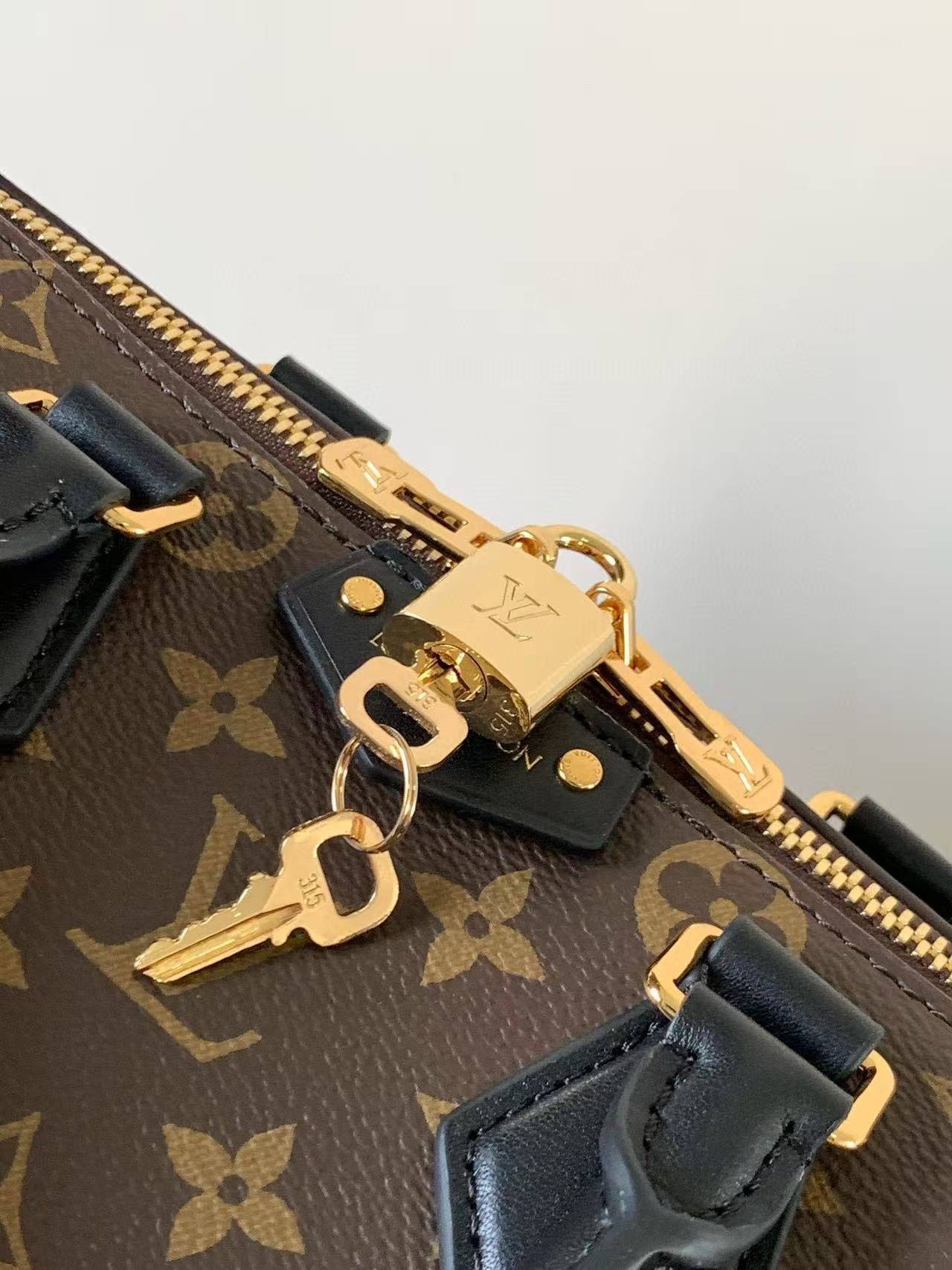 LV Speedy Trunk Bag Black Brown Cowhide Canvas
