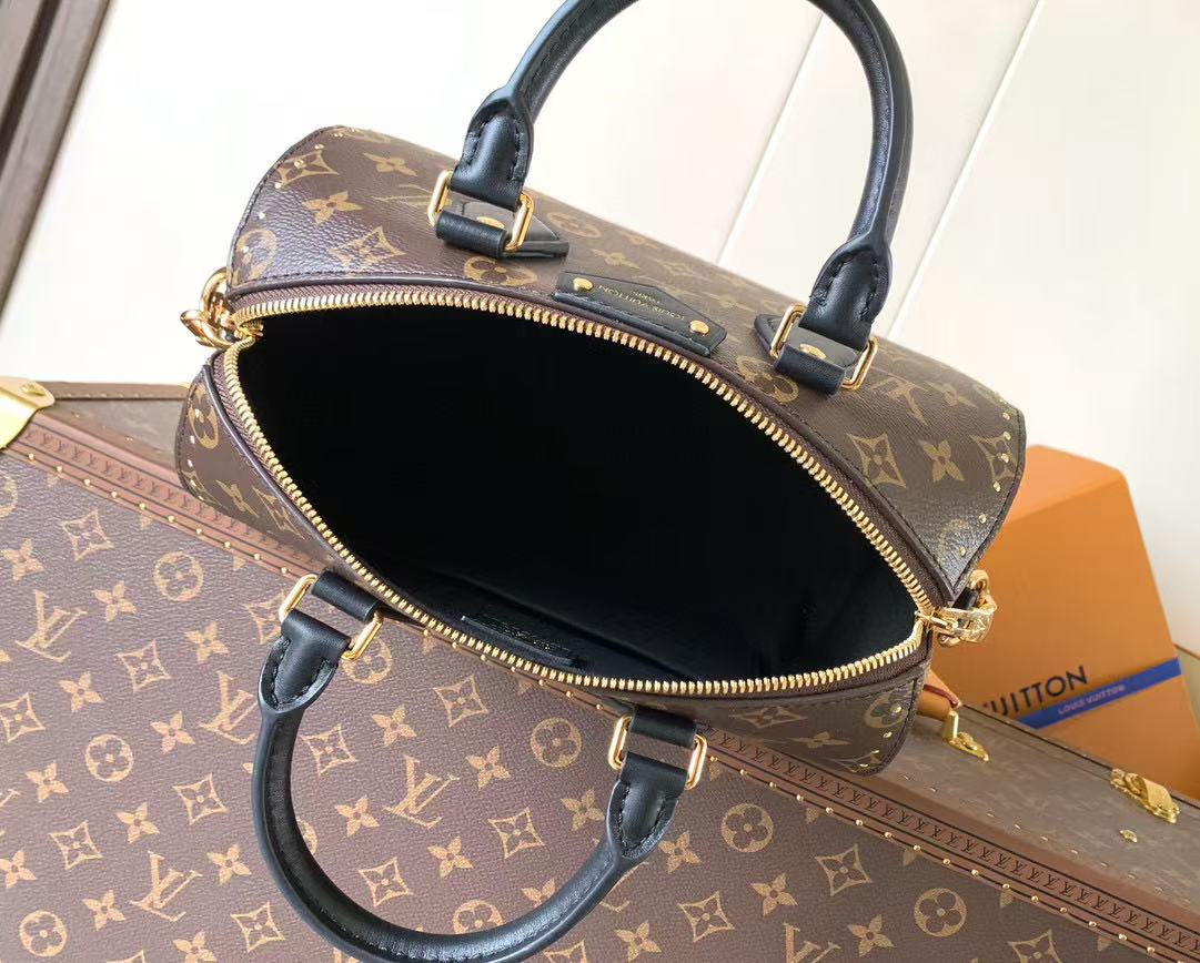 LV Speedy Trunk Bag Black Brown Cowhide Canvas