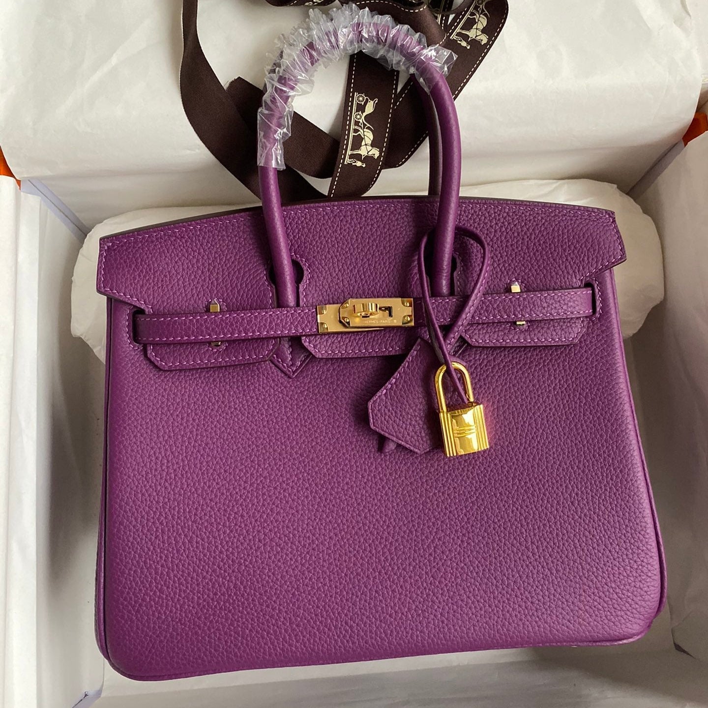 Hermes 2025 Birkin Bag Purple With Gold Hardware Togo Leather
