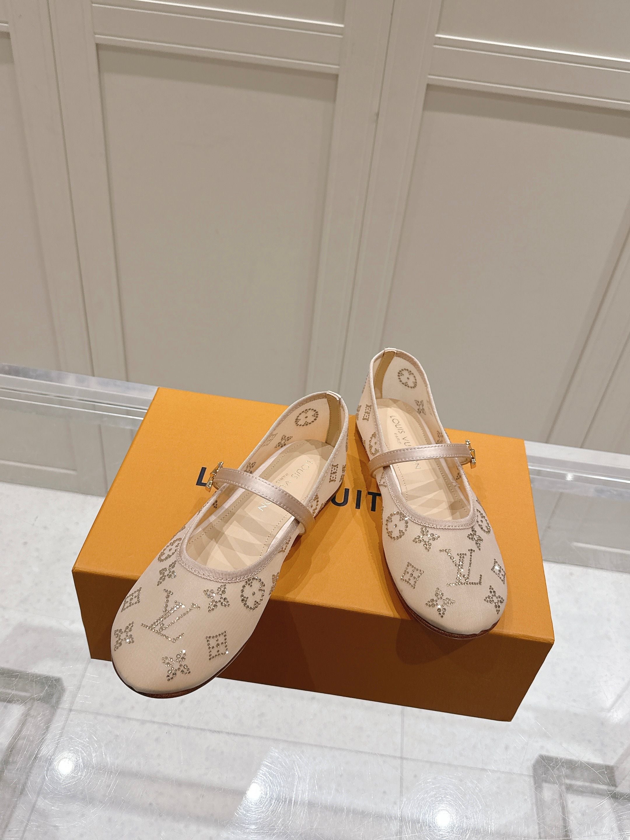 Louis Vuitton 2026 Ballet Flats Mesh Leather 778849