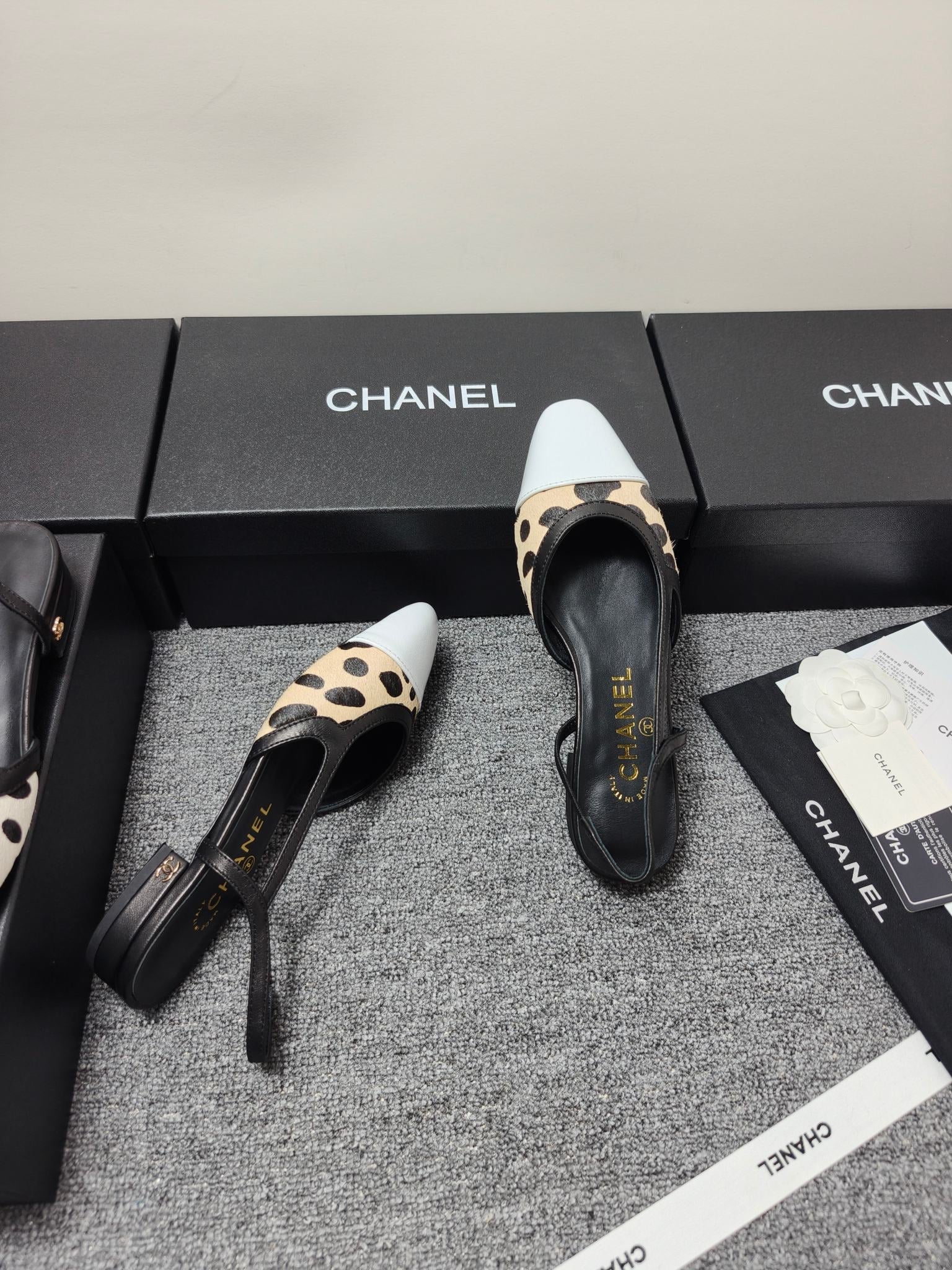 Chanel 2026 Slingback Horsehair Sheepskin 856006
