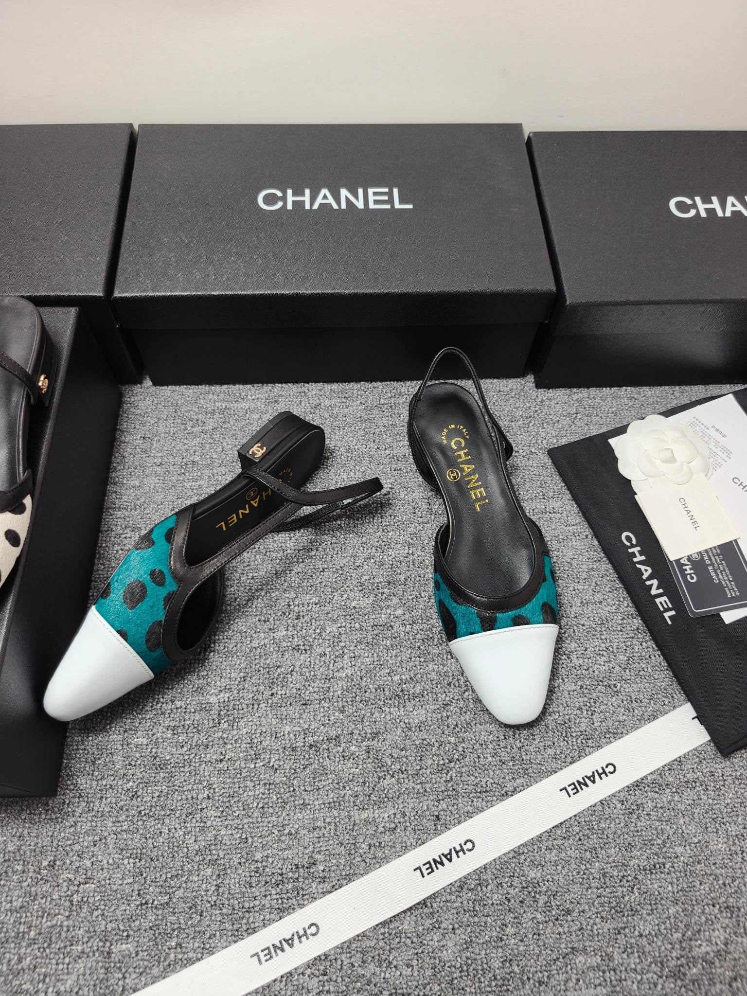 Chanel 2026 Slingback Horsehair Sheepskin 856006