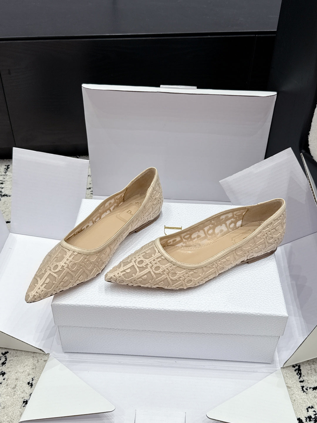 Dior 2026 Embroidered Pump Mesh Leather 923145