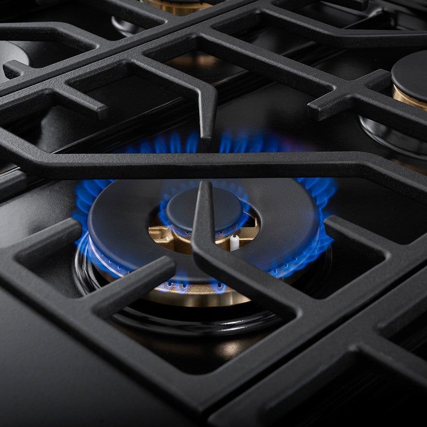 Forza FR488GN 48" Professional Gas Range