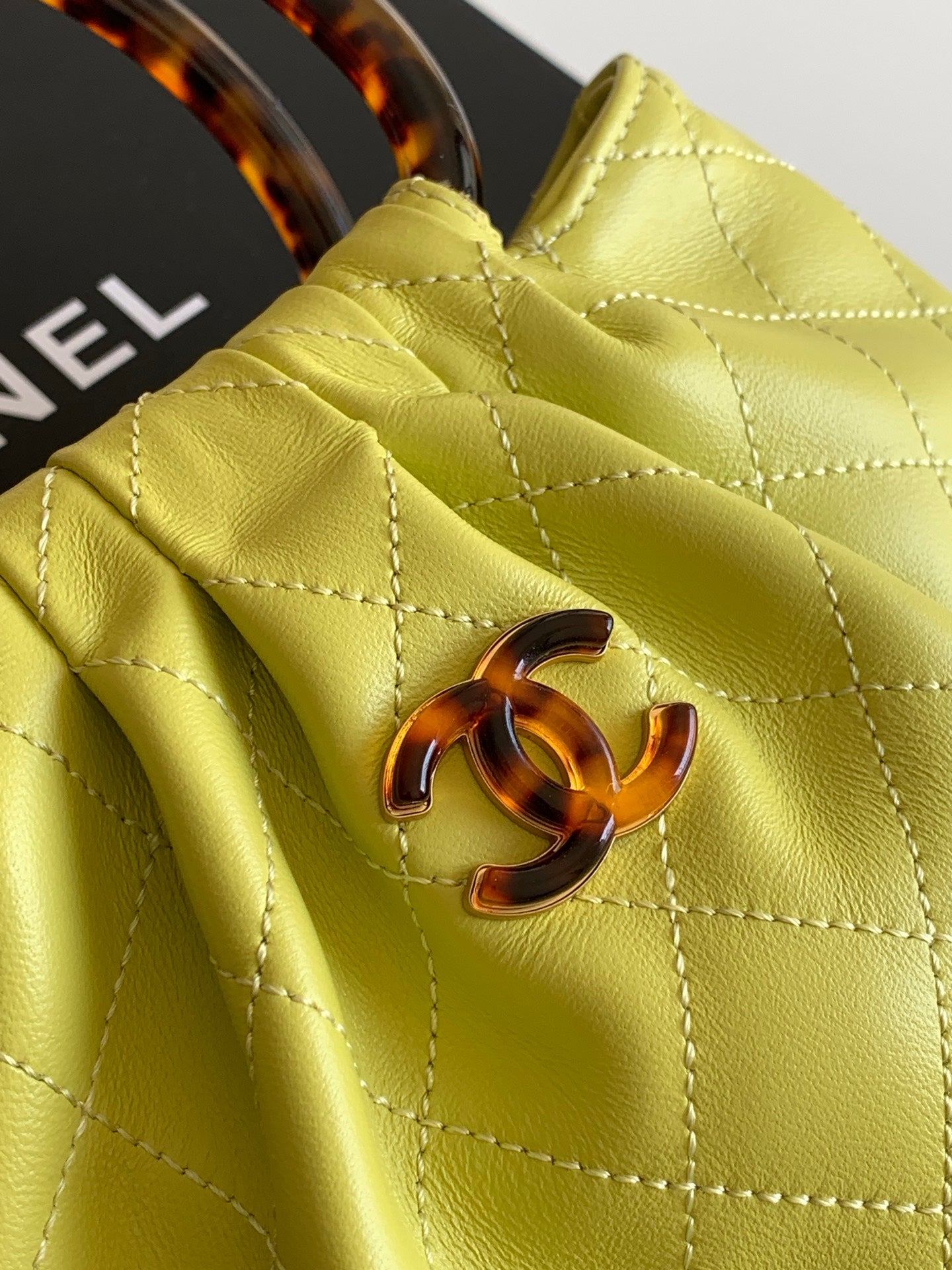 Chanel 2026 Pouch 24cm Tortoiseshell Leather Effect Plexi