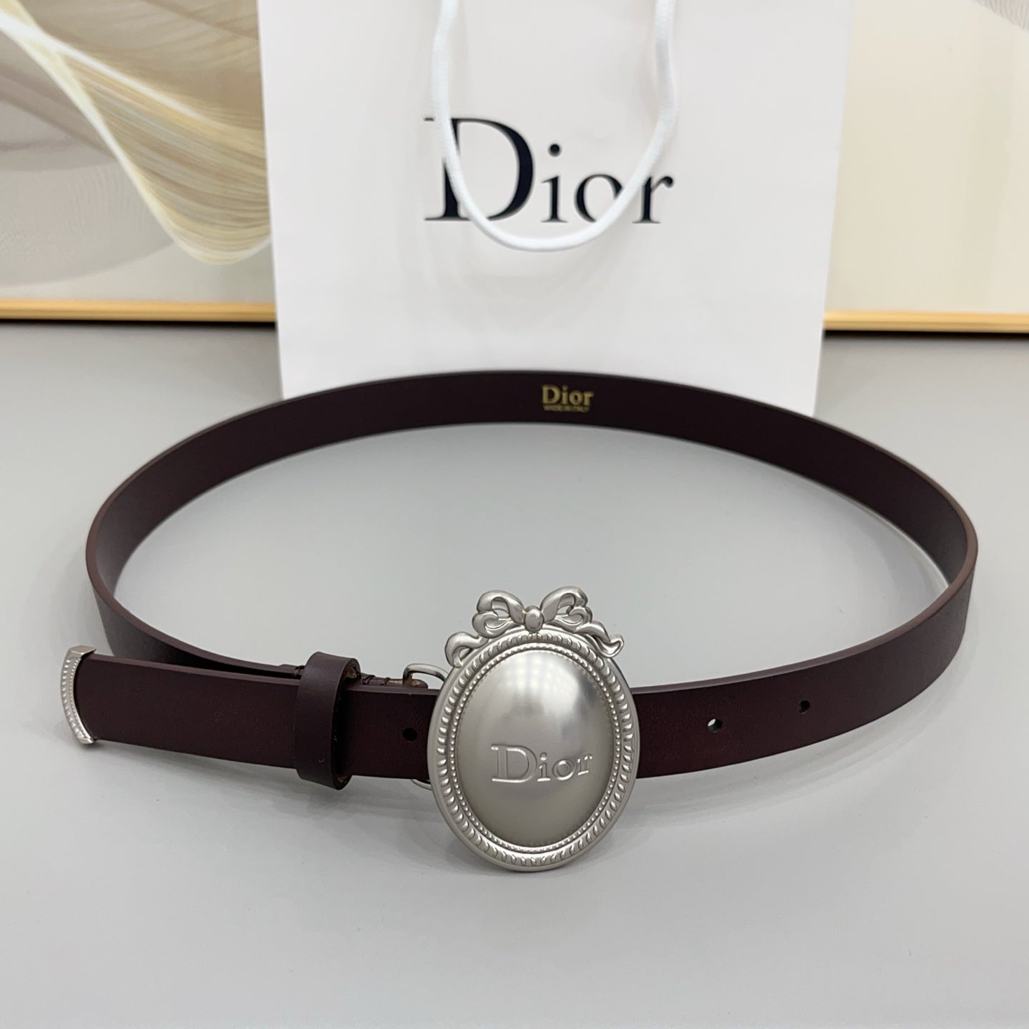 Dior Médaillon Belt 25mm Smooth Calfskin