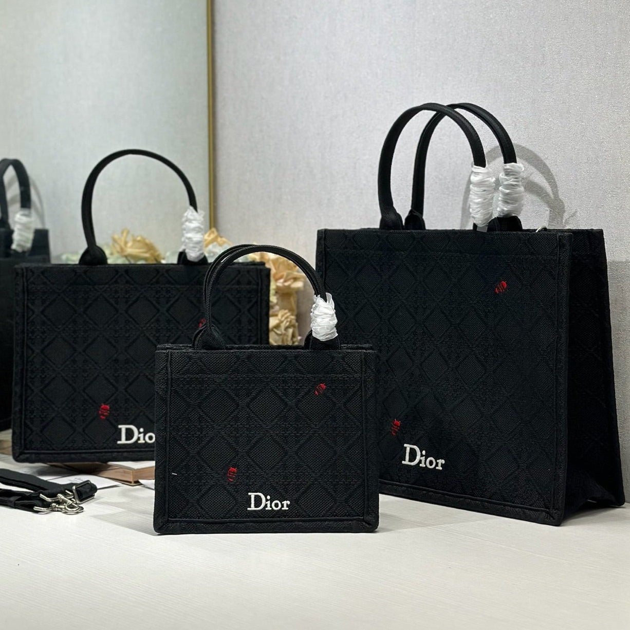 Dior 2026 Book Tote Bag With Red Beetle-shaped Embellishments Black Canvas 288481