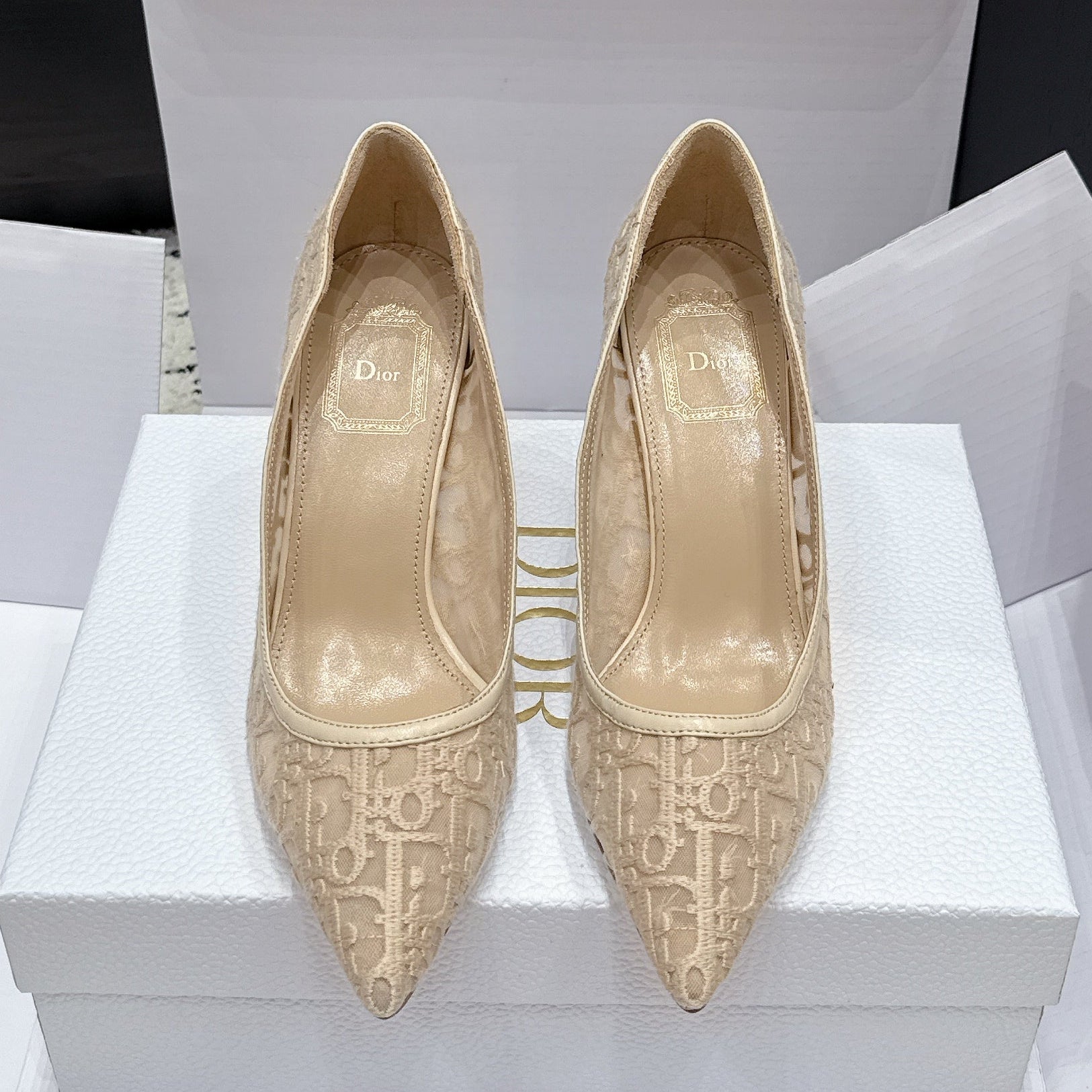 Dior 2026 Embroidered Pump Mesh Leather 923145