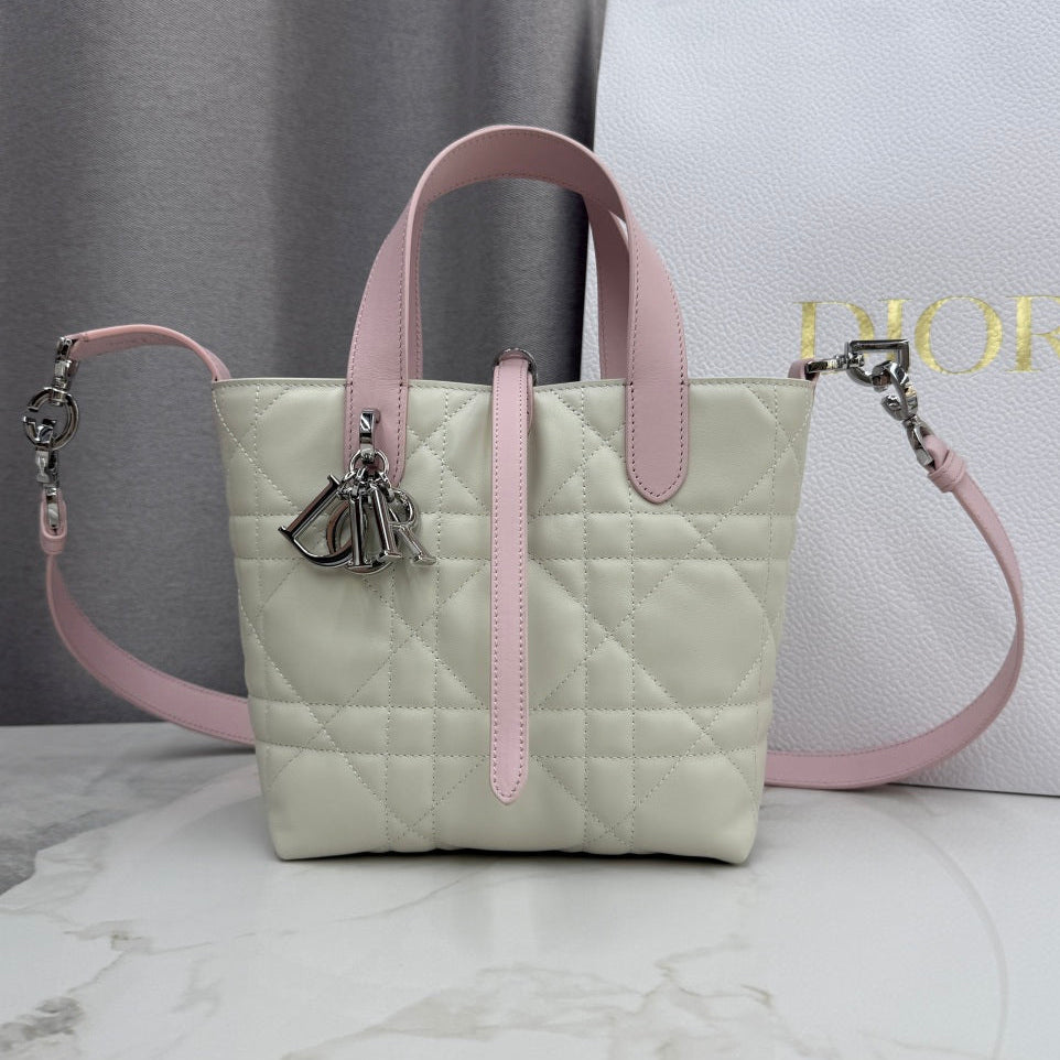 New Dior Bag 2026
