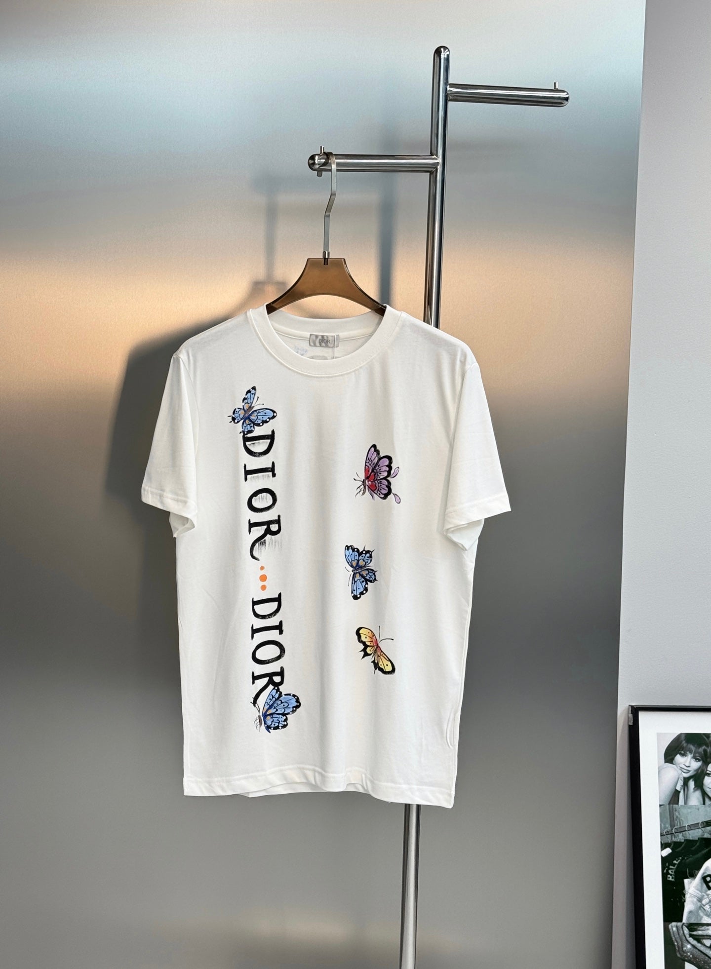 CD 2026 Streetwear T-shirt Butterfly Cotton 316509