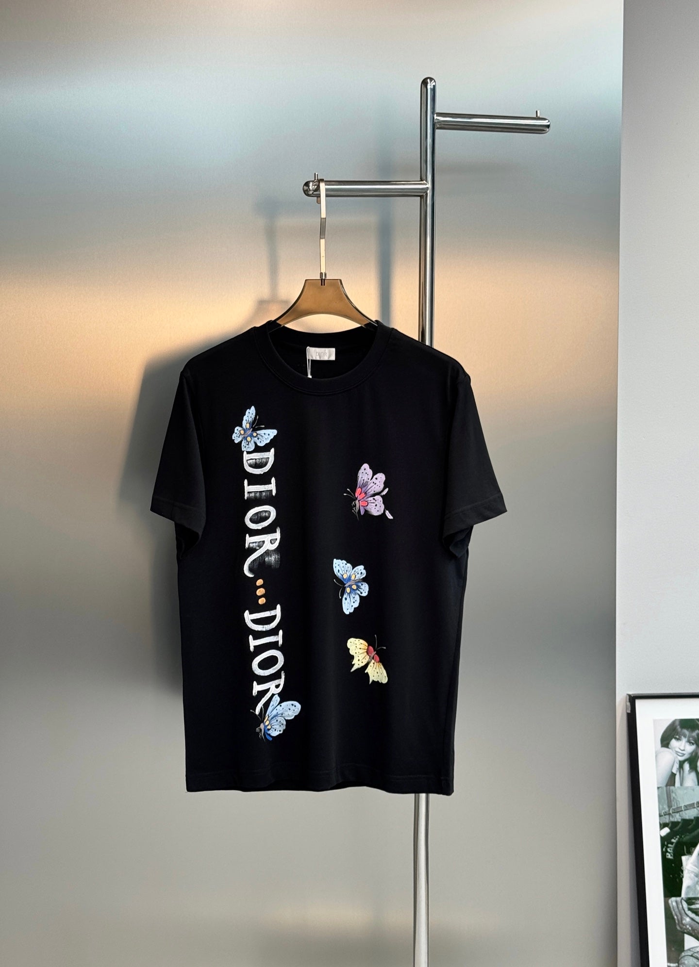 CD 2026 Streetwear T-shirt Butterfly Cotton 316509