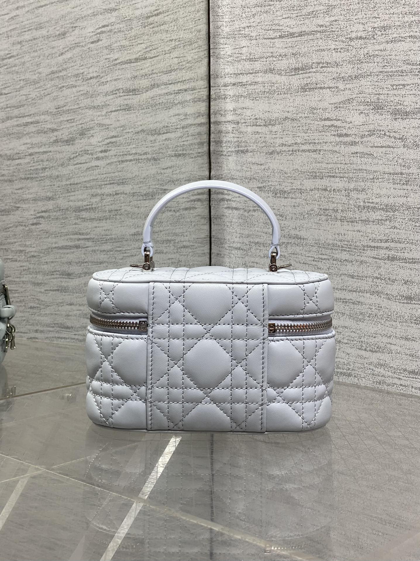 Dior 2026 Vanity Bag 17.5cm Cannage Lambskin 289248