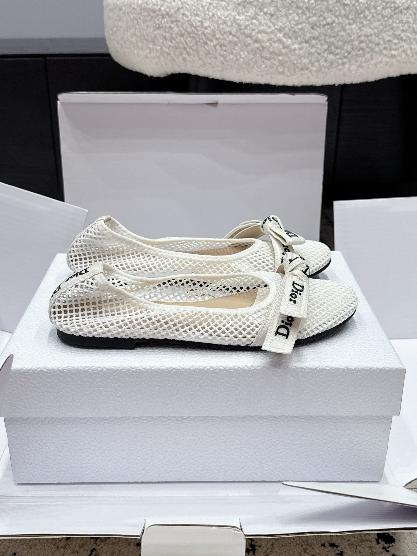 Dior 2026 Embroidered Webbing Ballet Flats Mesh Leather 923144