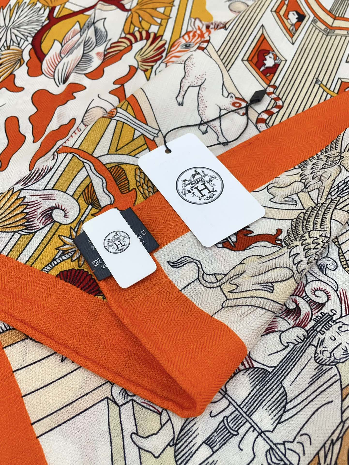 Animapolis Scarf Limited Edition 140 CM In Colorful Cashmere And Silk 306571
