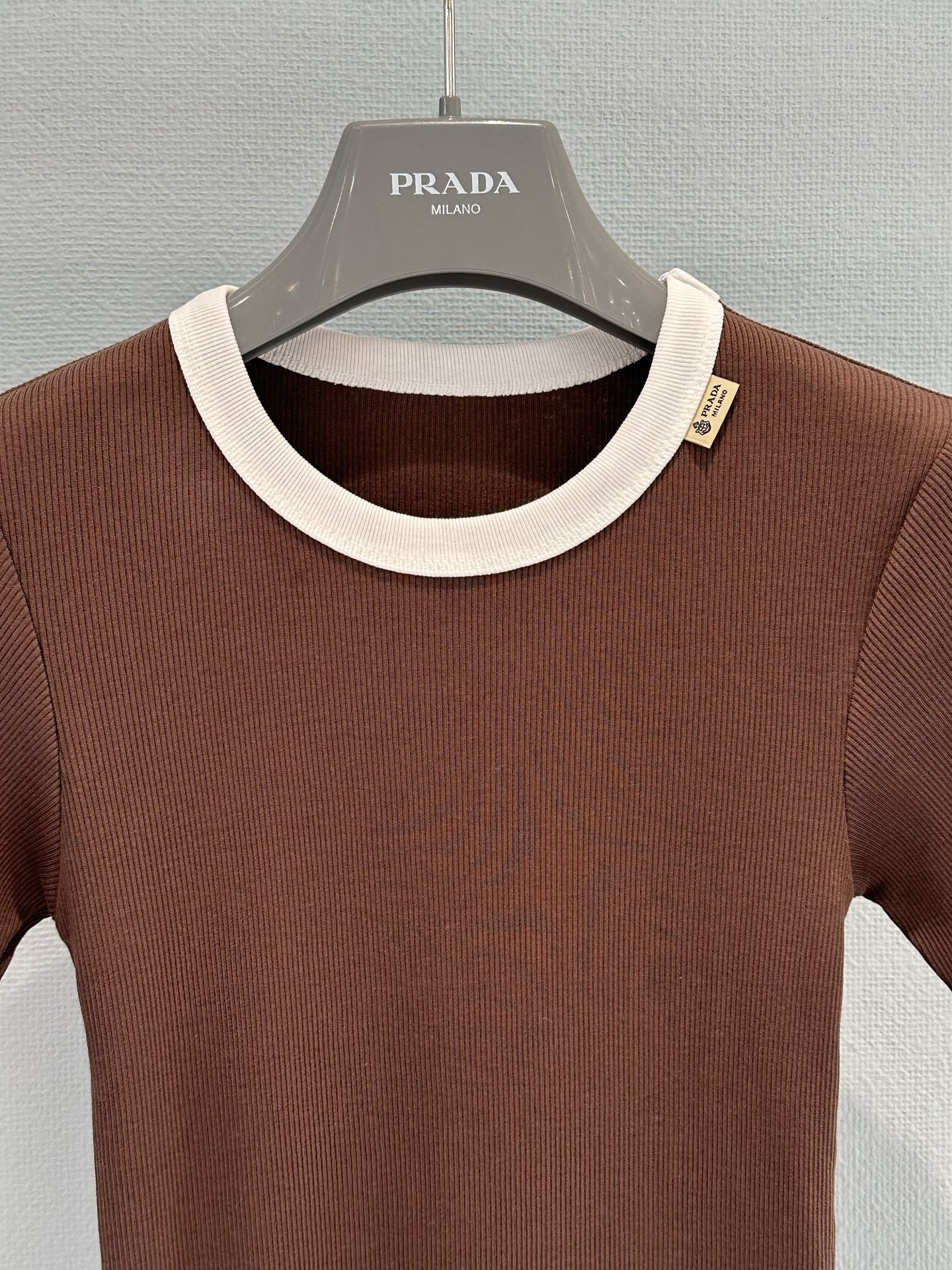 Prada 2026 Shirt Cotton 653681
