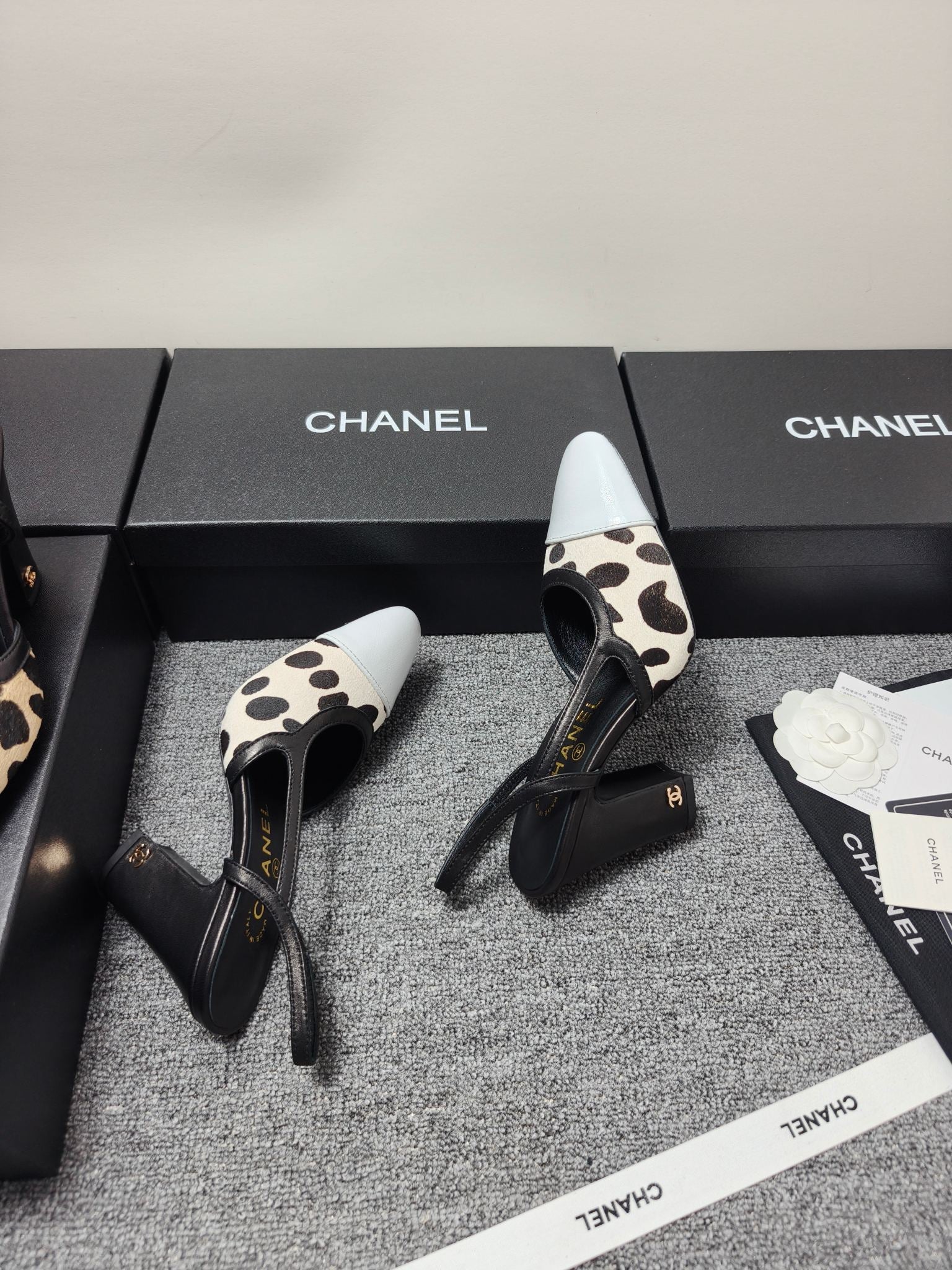Chanel 2026 Slingback Horsehair Sheepskin 856006