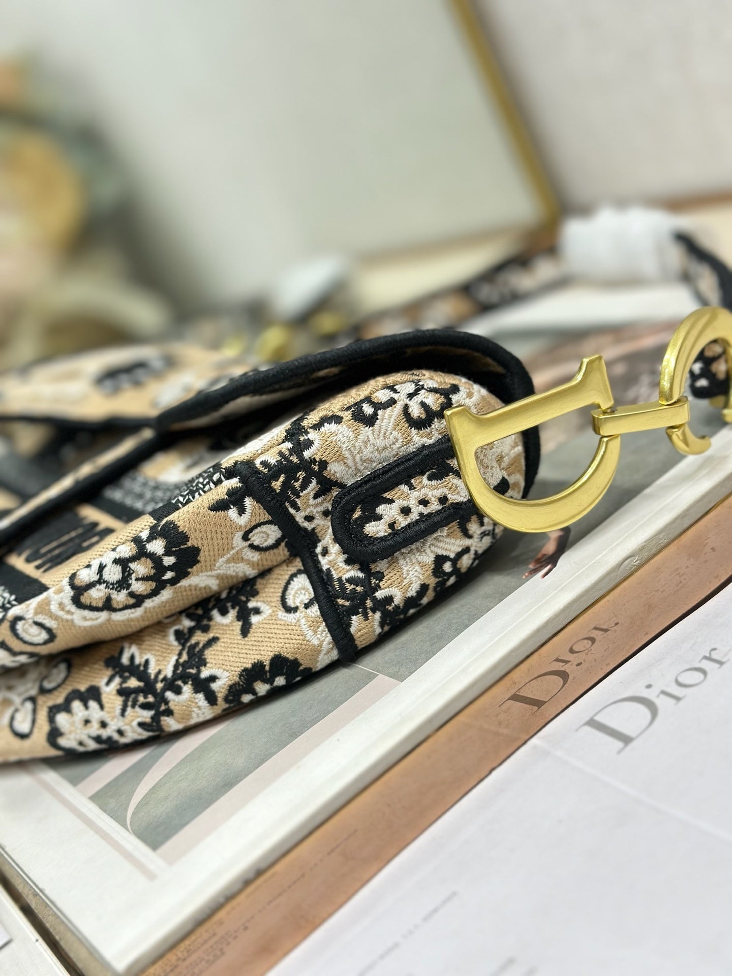 Dior 2026 Butterfly Motifs Saddle Bag 25.5cm Light Brown mix Black Canvas 289476