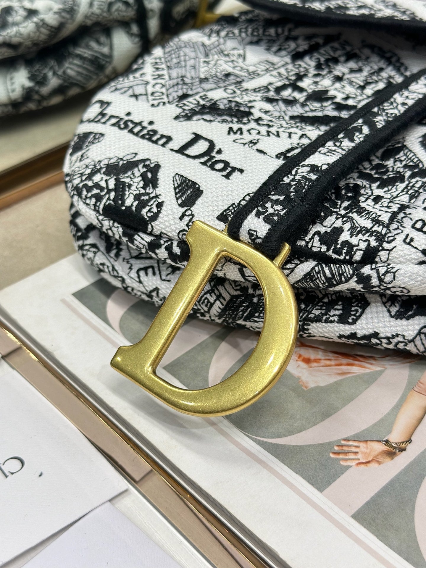 Dior 2026 Striking Black White Plan de Paris Pattern 25.5cm Saddle Bag 289478