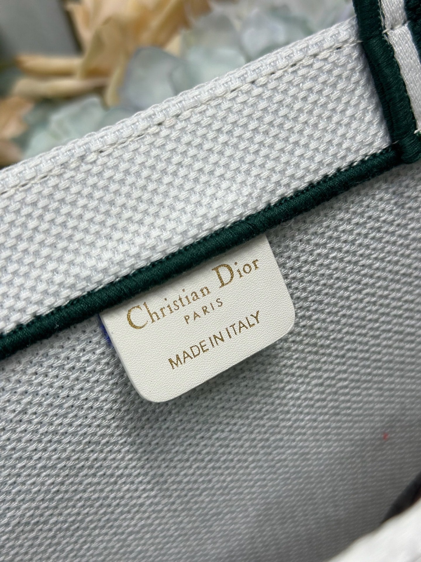 Dior 2026 "The Very Hungry Caterpillar" Book Tote Bag Canvas 289518
