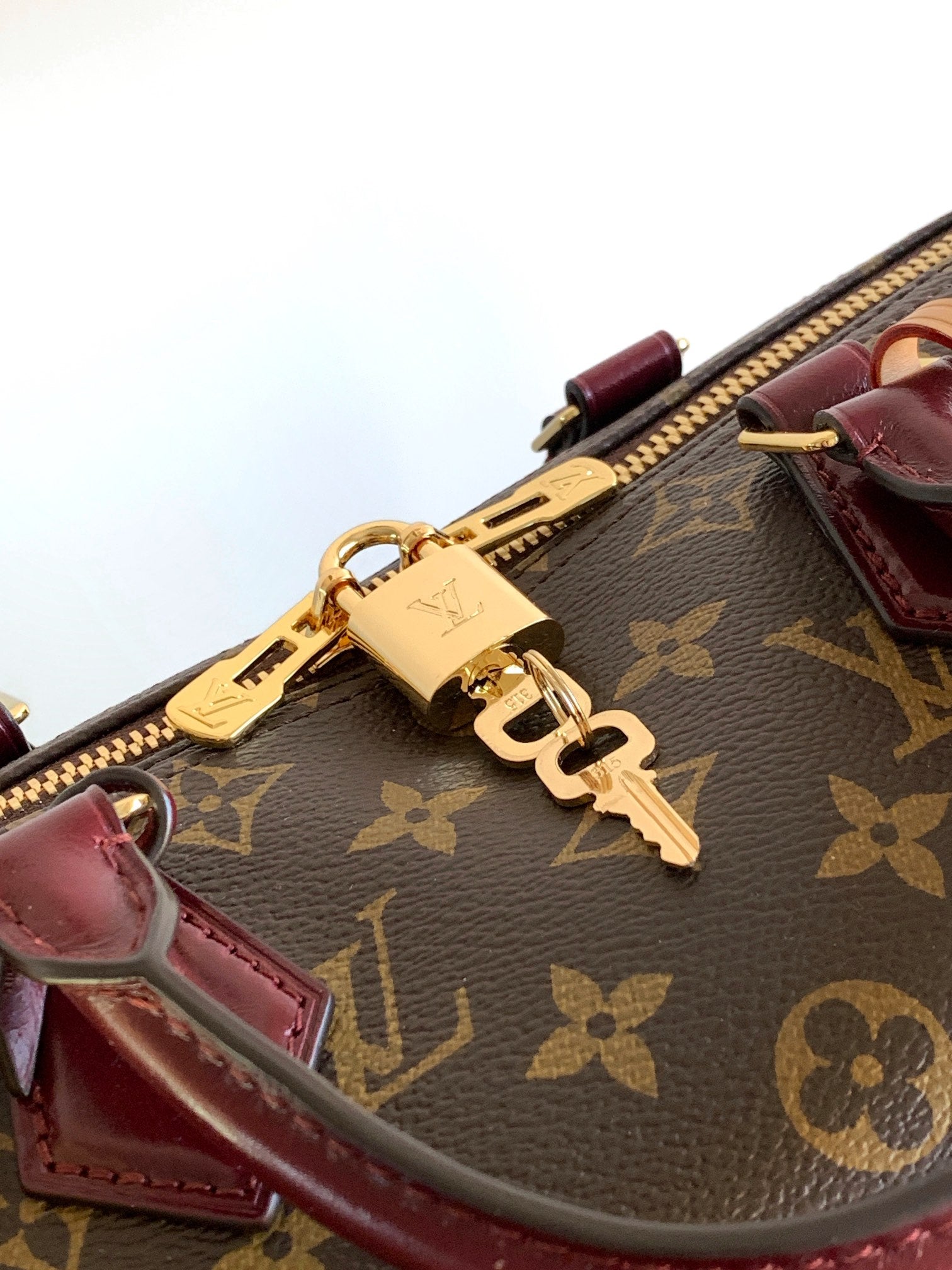 LV 2026 Speedy Soft Bag 30cm Brown Burgundy Canvas Cowhide 281457