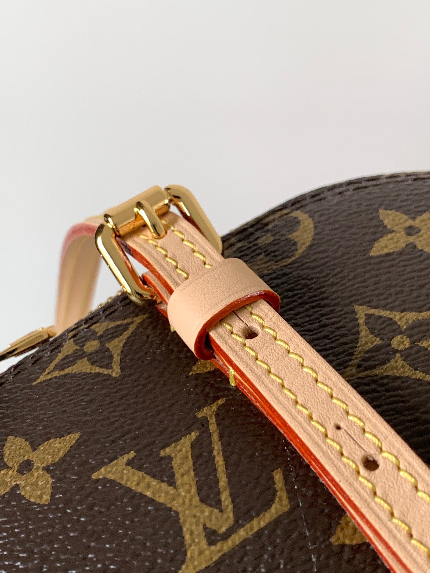 Louis Vuitton 2026 Squire East West 29cm Brown Beige Monogram Canvas Leather