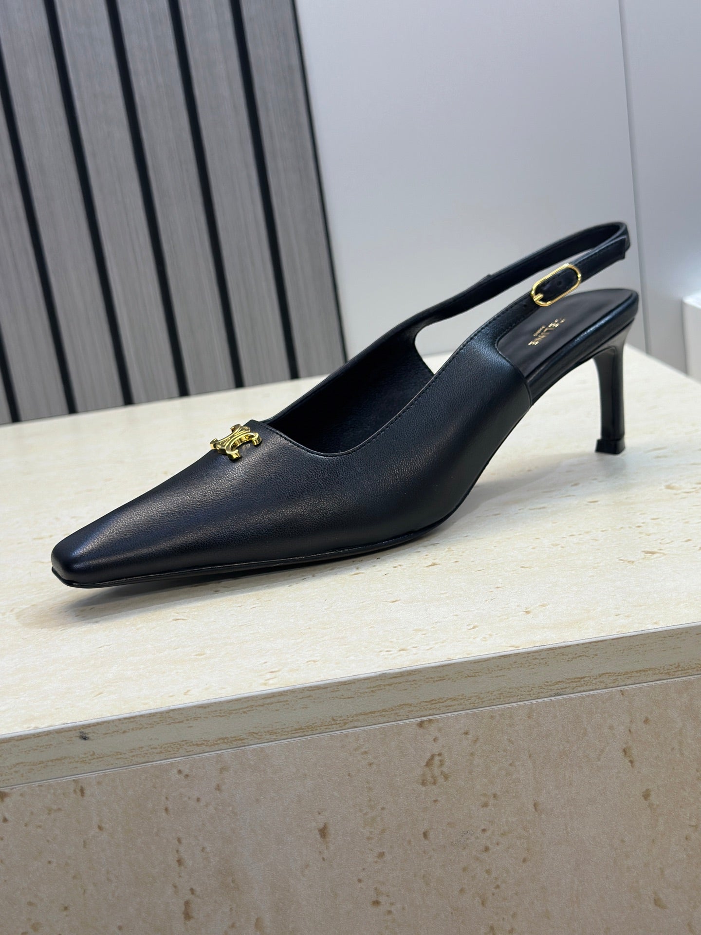 Celine 26 Slingback Pumps Triomphe Logo 65mm Leather 762631