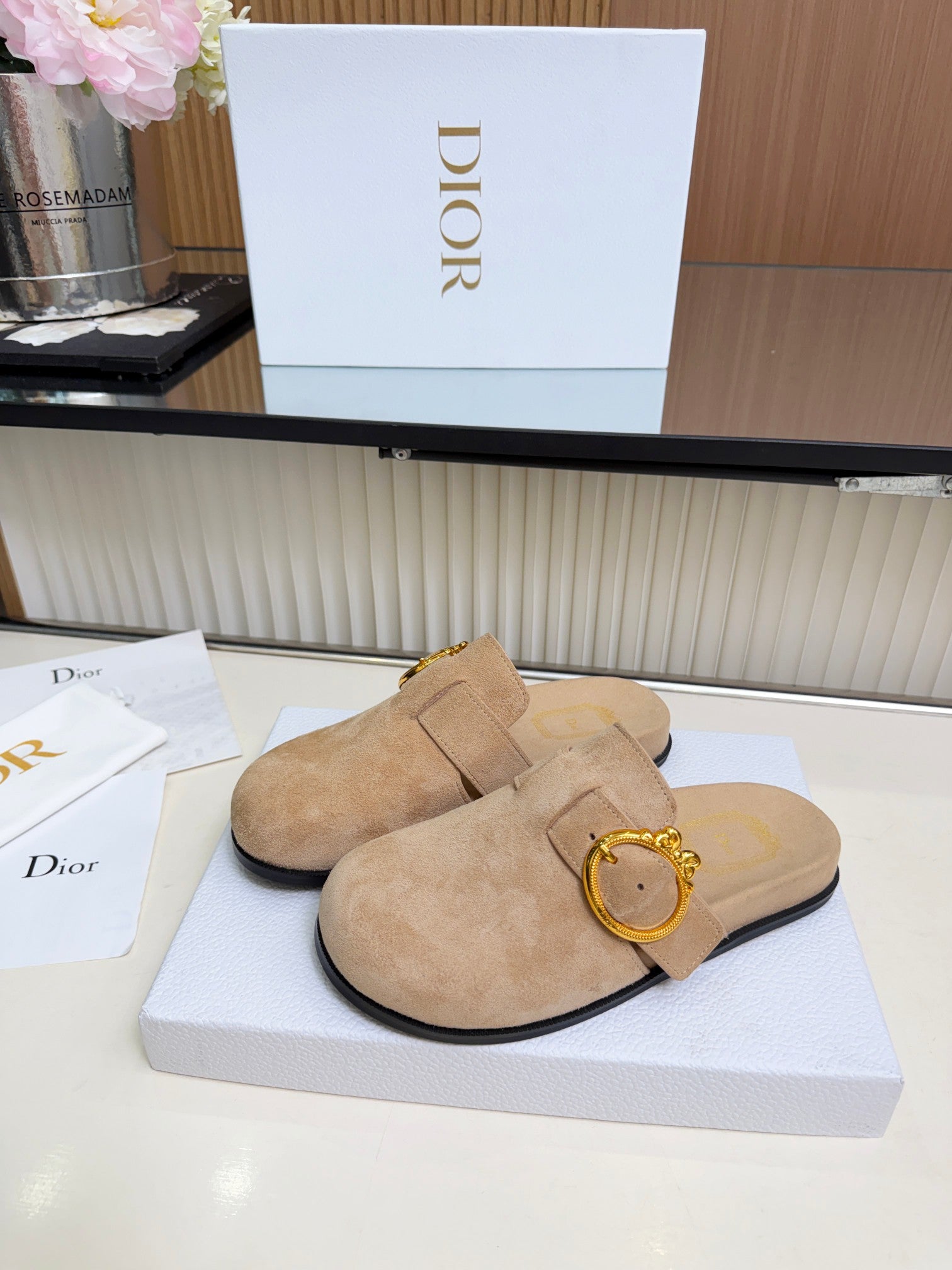 Dior 2026 Medaillon Buckle Mule Suede 911606