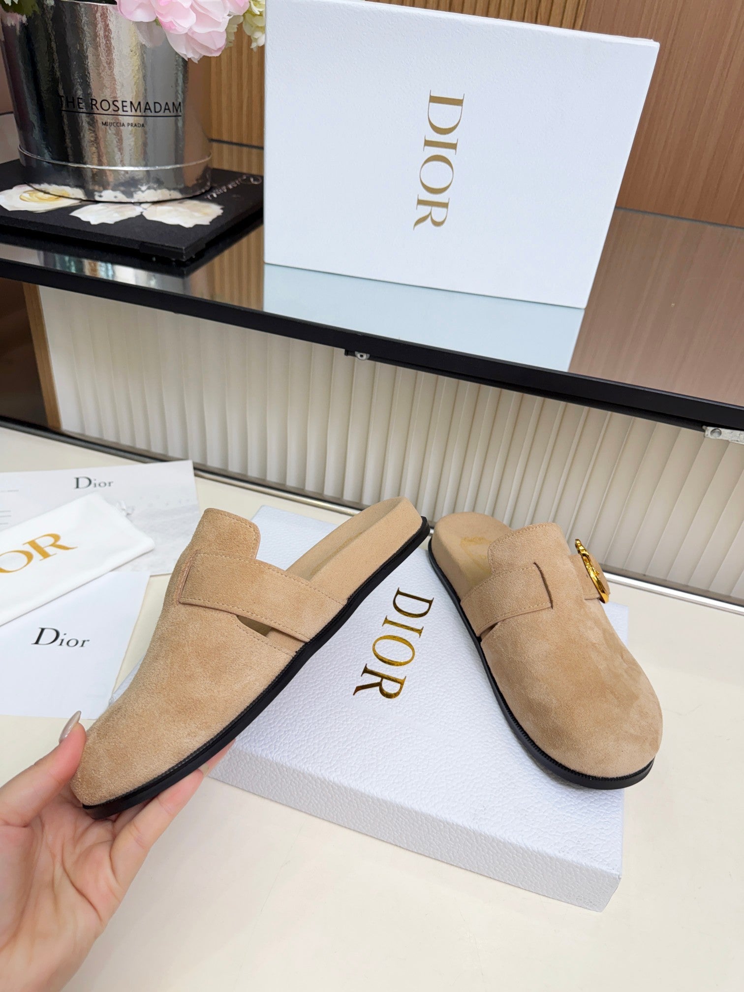 Dior 2026 Medaillon Buckle Mule Suede 911606