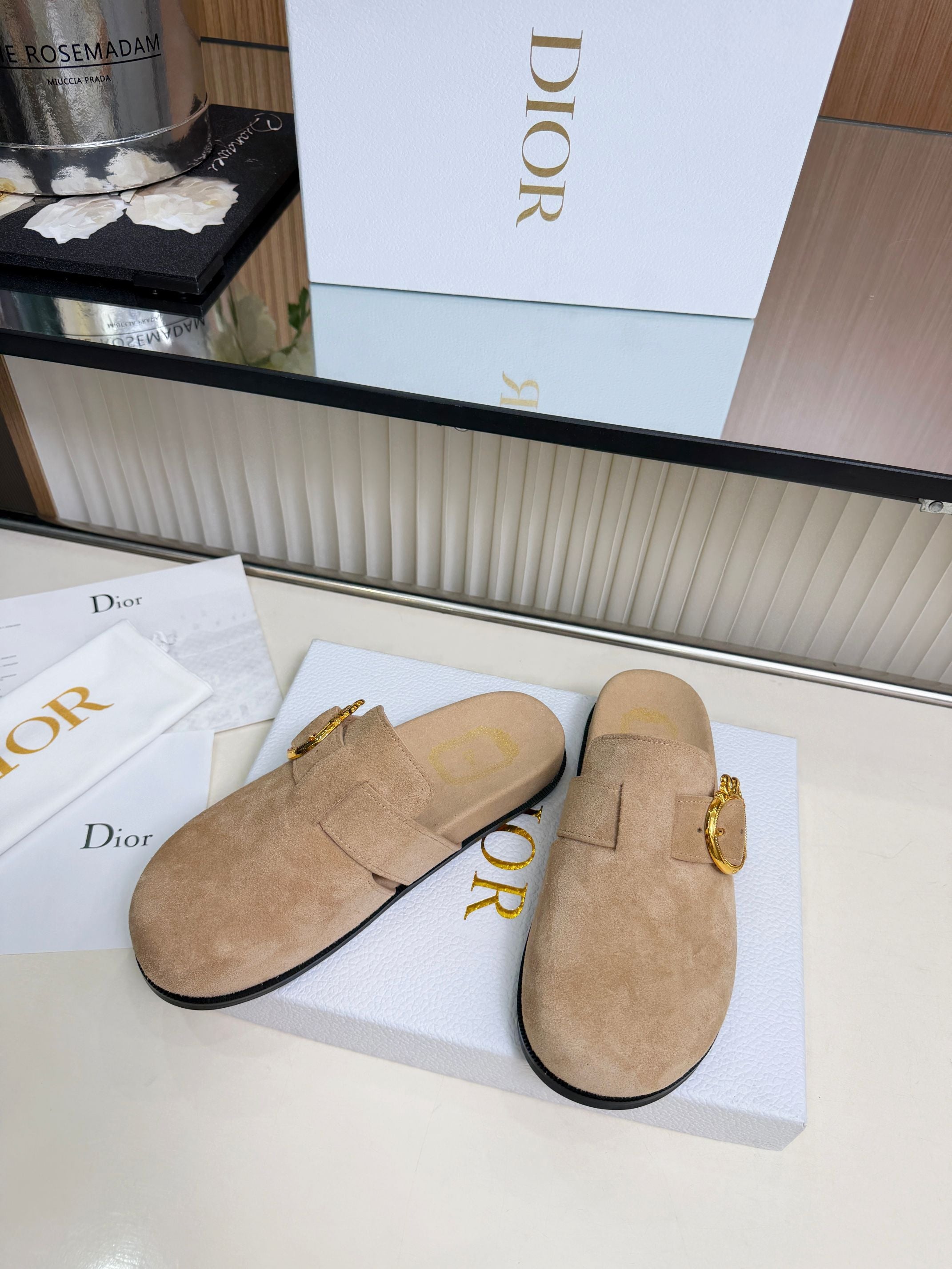 Dior 2026 Medaillon Buckle Mule Suede 911606
