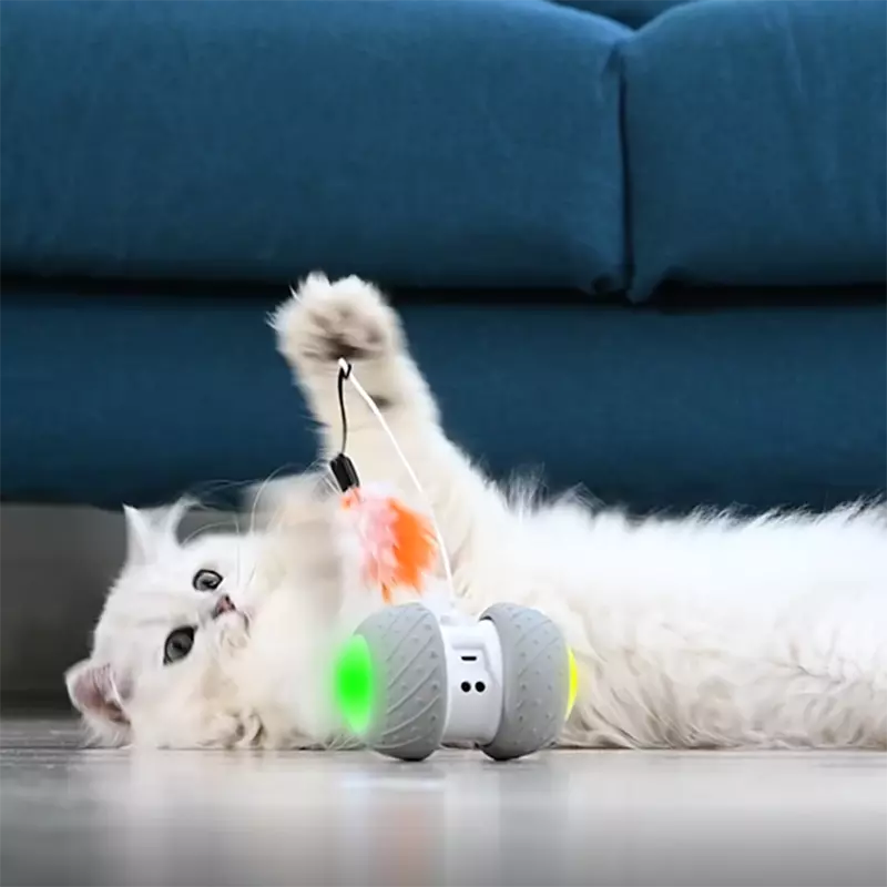 PLUMA - Robot LED interactif à plumes